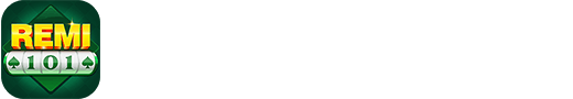 Remi 101 logo